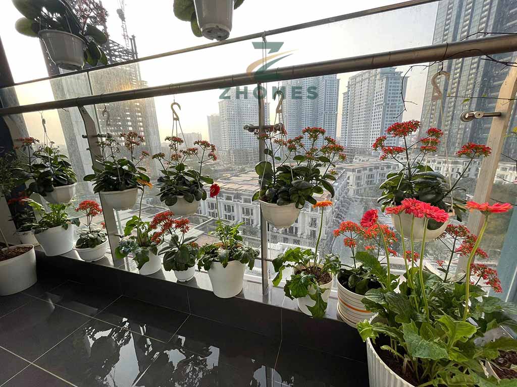Can 3 Ngu Toa S5 (5)